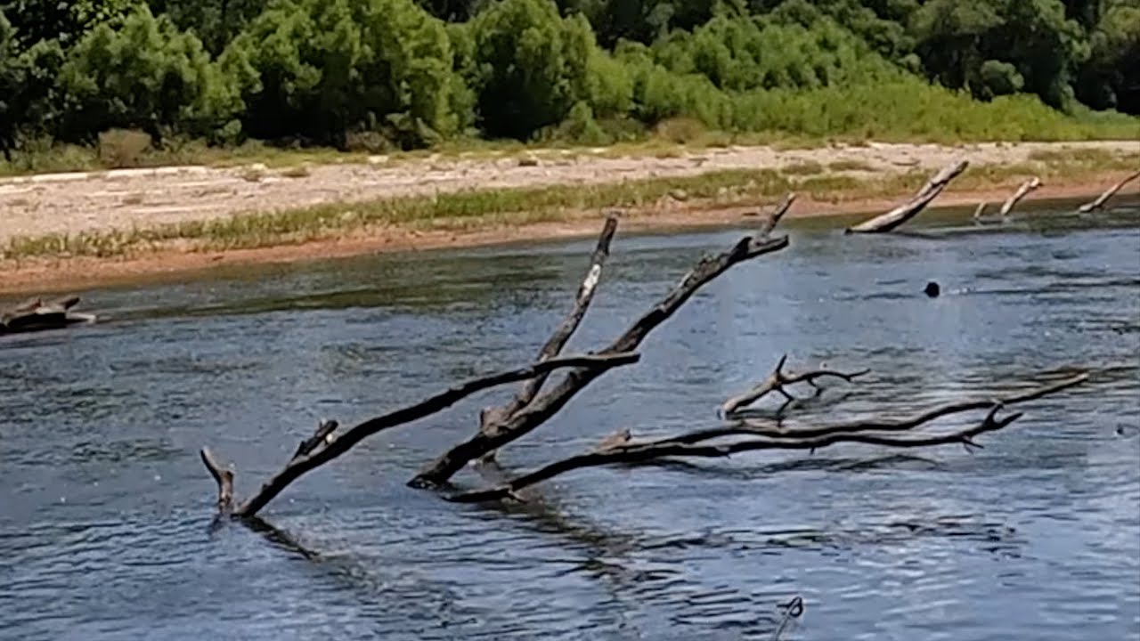 Bogue Chitto State Park Scouting Mission