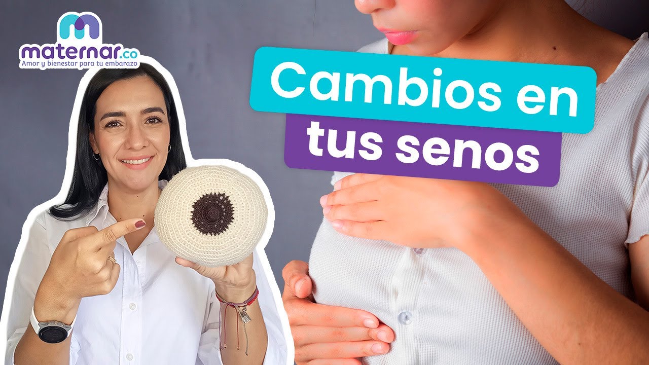 C&oacute;mo cambian tus senos en el embarazo | Maternar.co