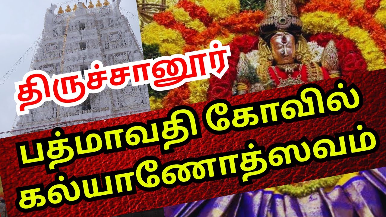 TIRUCHANUR PADMAVATHI AMMAVARI KALYANOTSAVAM SEVA |BEST TTD SEVA | MY EXPERIENCE