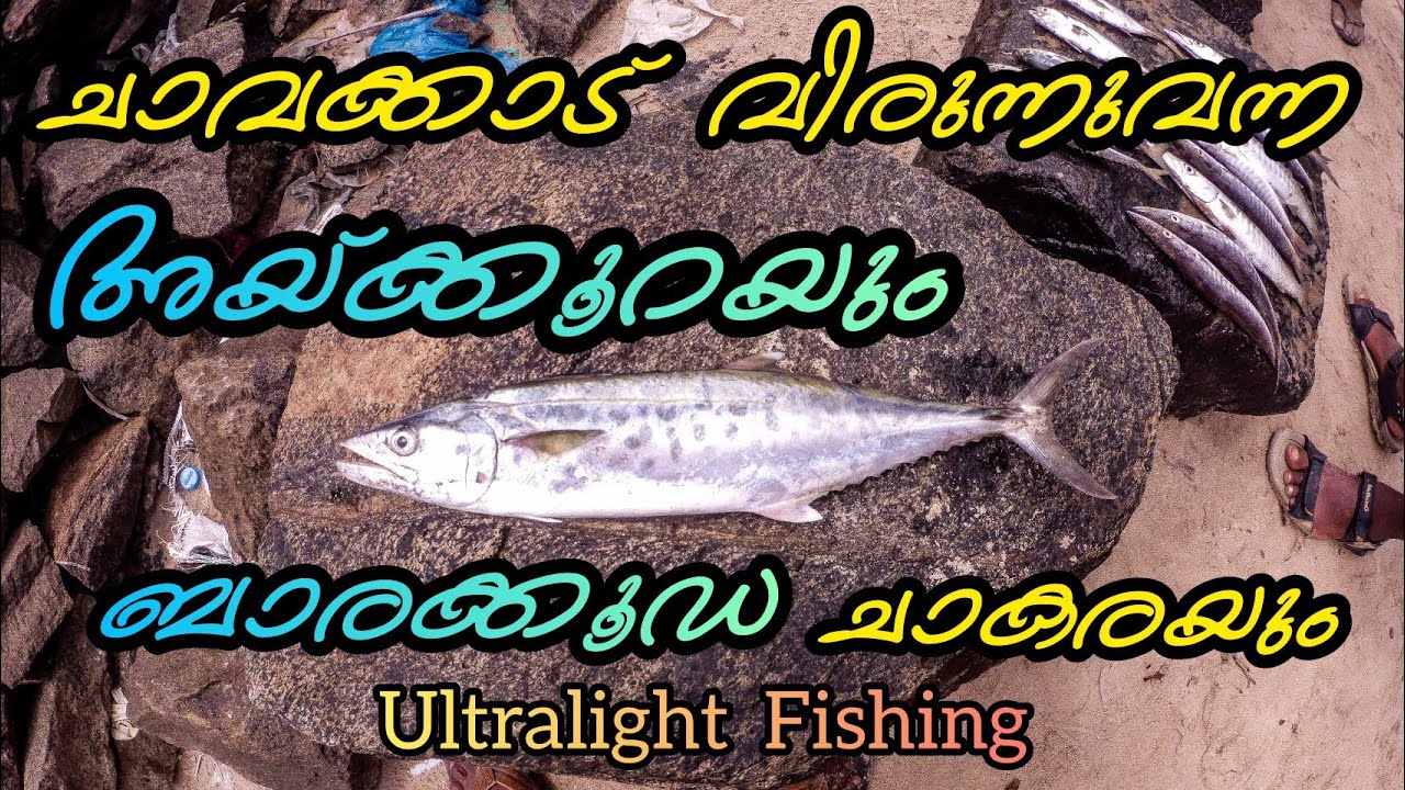 ഇവിടുത്തെ മീനൊക്കെ ഭ്രാന്തായോ😱😱😱 Inshore Light Fishing 
