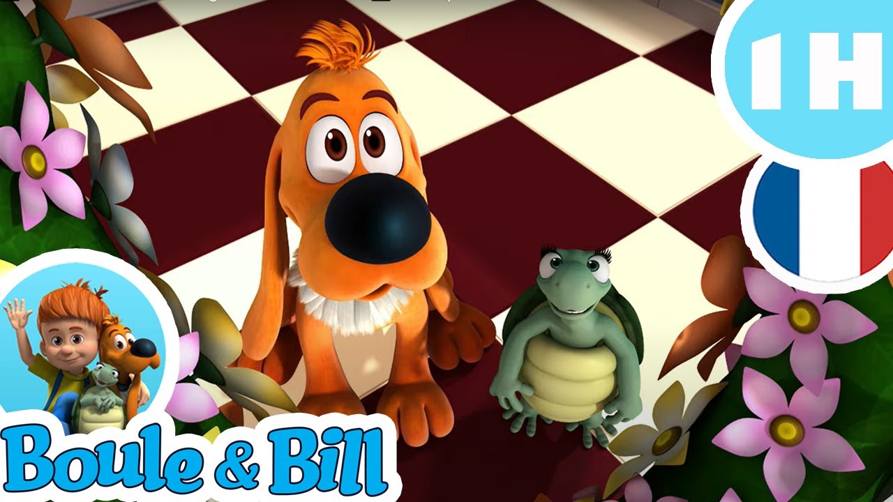 📺Boule et Bill adorent regarder la télévision!📺 - Compilation FR