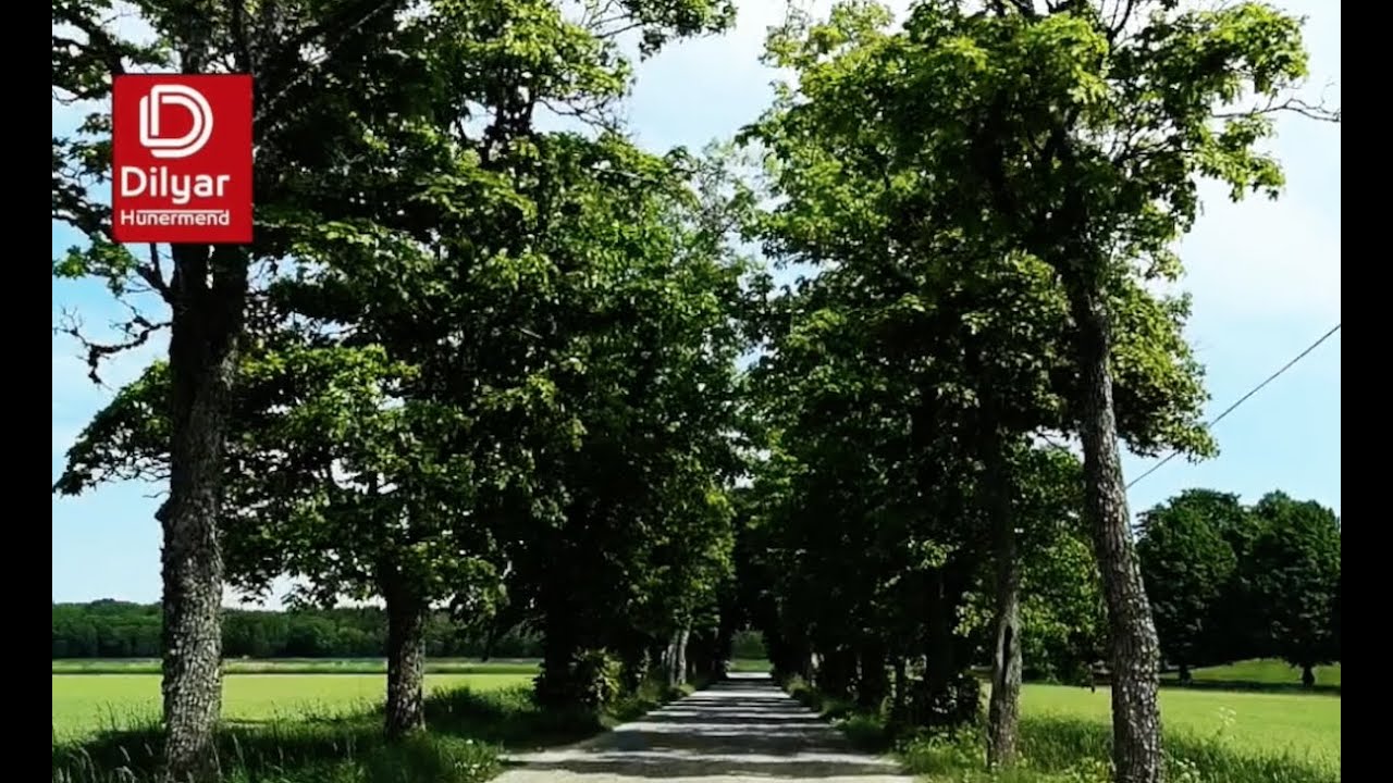 Hunermend Dilyar Keynê With the nature of Sweden