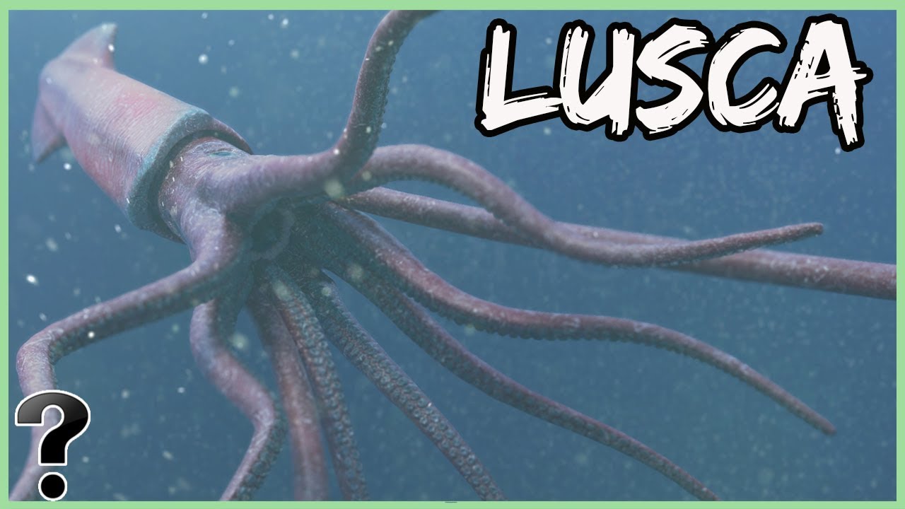 What If The Legend Of Lusca Was Real?