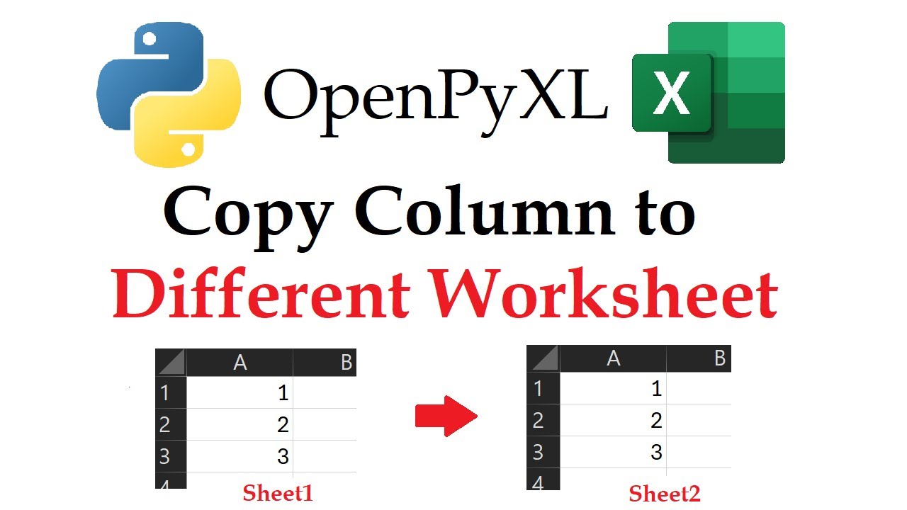 OpenPyXL - Copy a Column to a Different Worksheet in Excel Workbooks with Python | Data Automation
