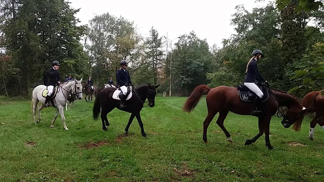 Hubertus 2020 w Zespole Szkół w Bielicach