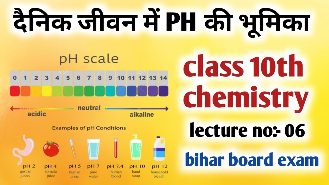 अम्ल,क्षार और लवण Lecture no-06 class 10th chemistry (Acids,Bases and salts) important of ph 