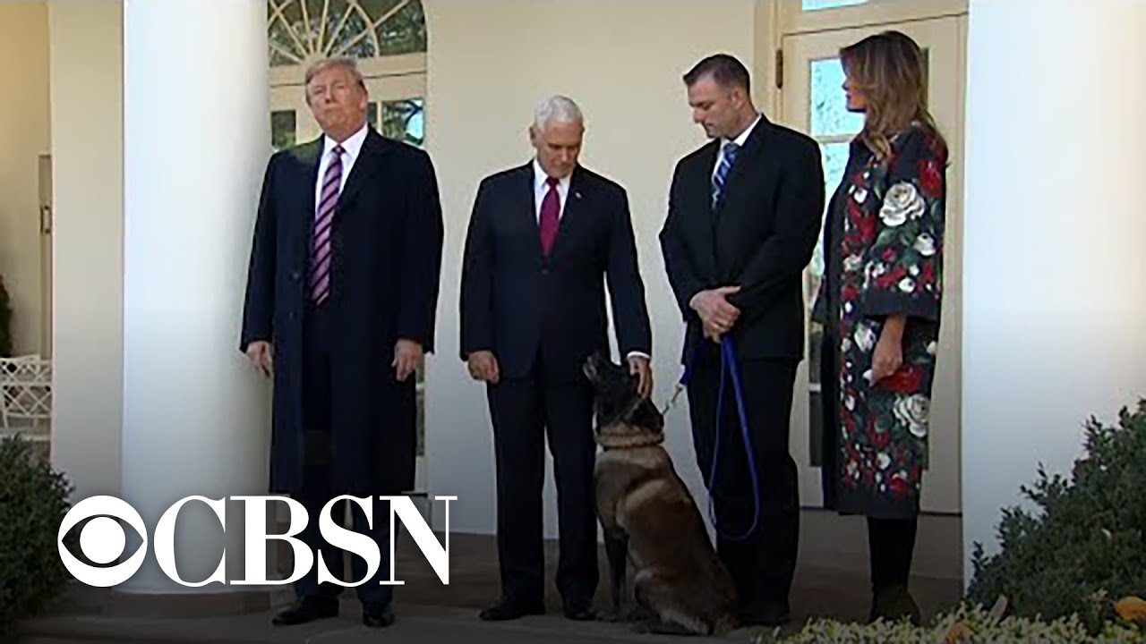 Trump honors military dog at White House