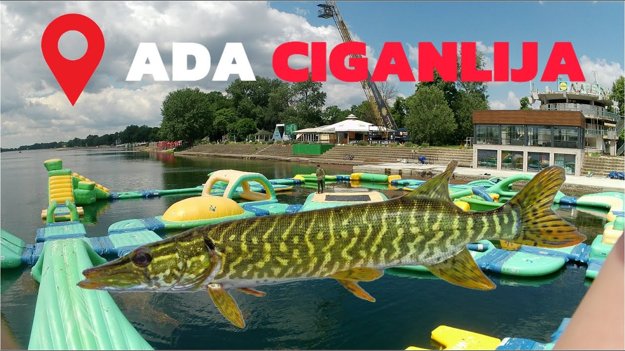 PECANJE ŠTUKE NA ADI CIGANLIJI! Pike fishing from the amusement park!