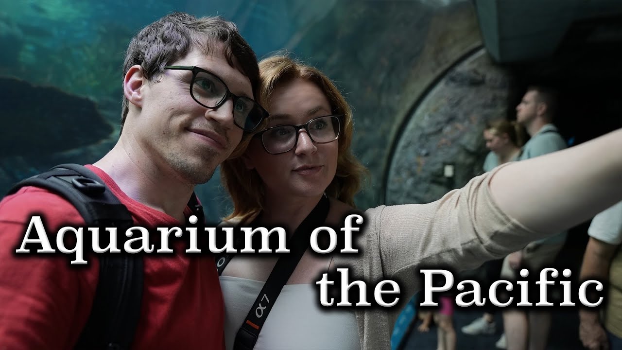 Aquarium Of The Pacific - 2023 Vlog