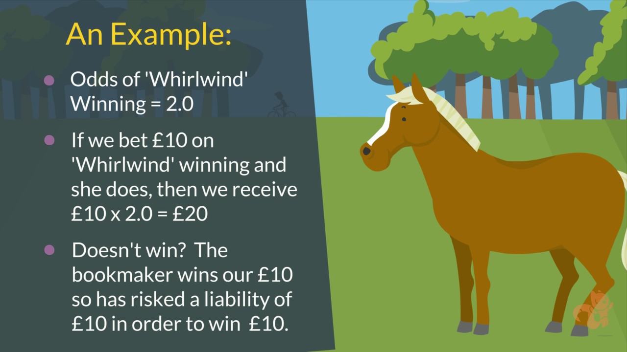 Understanding Liability In Betting Exchanges | Matched Betting | Profit Squirrel