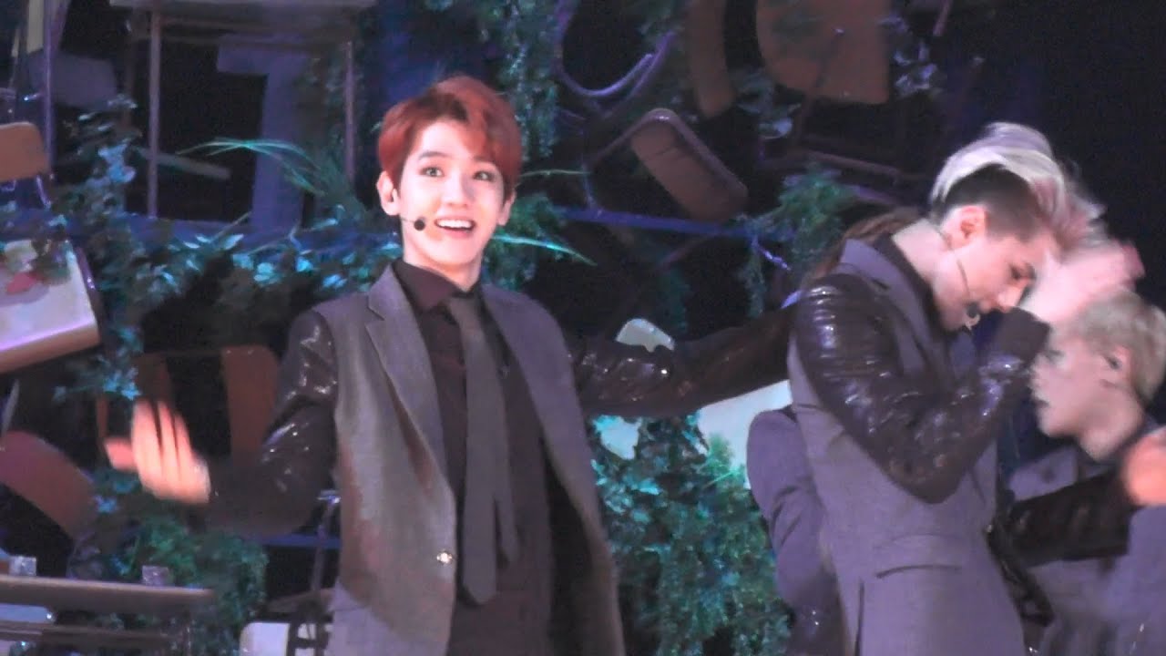[FANCAM]131122 MAMA  EXO Growl remix  BAEKHYUN