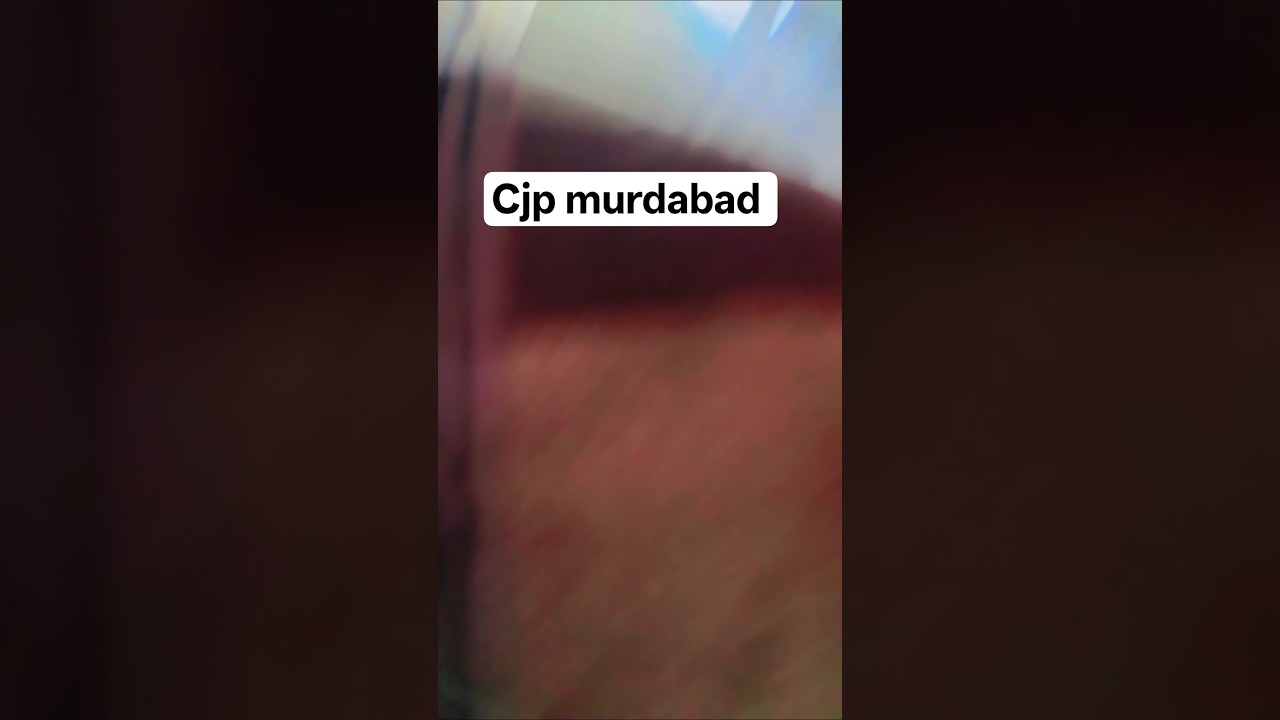 Cjp murdabad #bollywood #hindisong #song #bollywoodsongs #love #bollywoodlaxmi