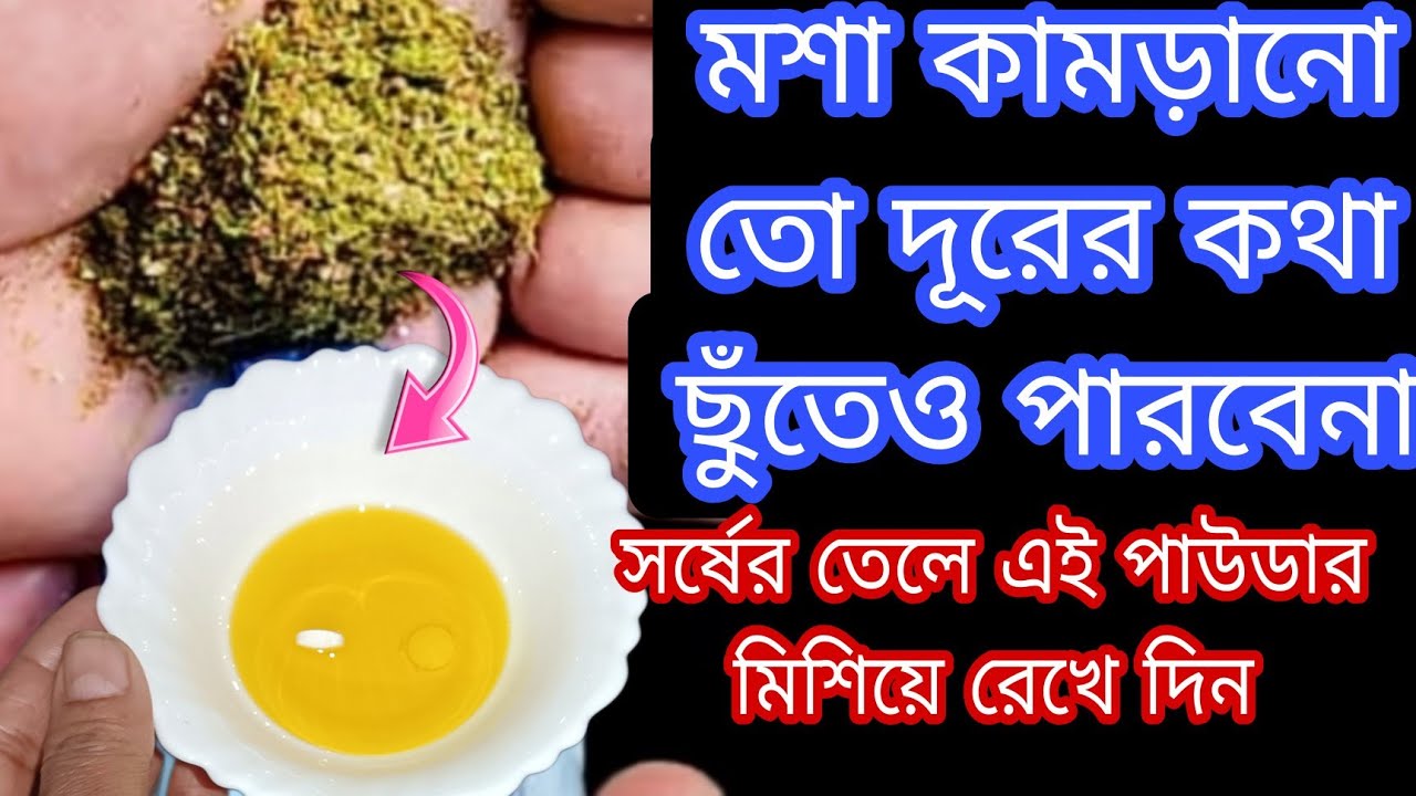 না কিট নাশক না কেমিক্যাল / মশা তাড়ানোর ঘরোয়া পদ্ধতি