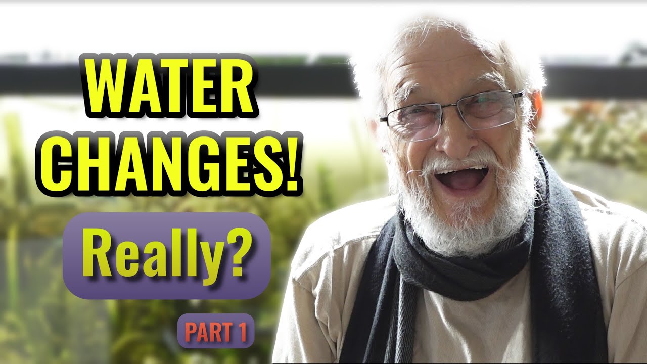 The Fundamentals of Water - Part 1 #waterchange