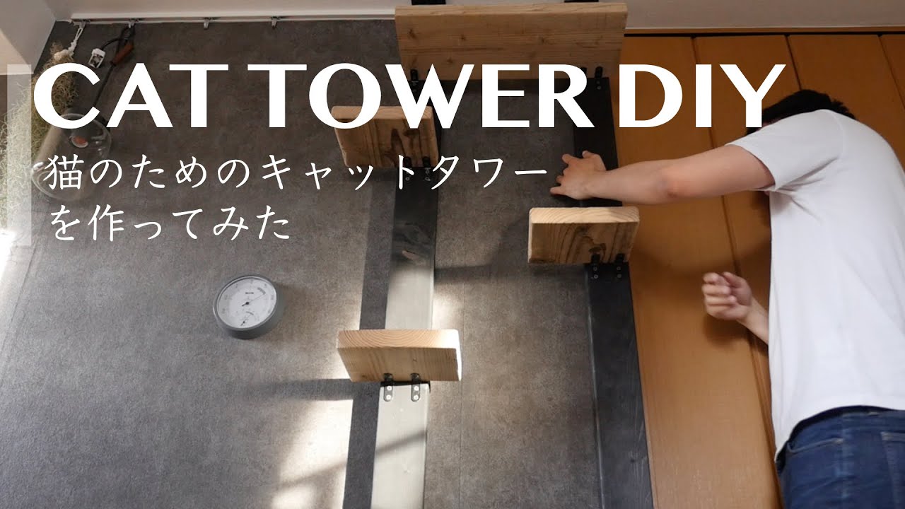 おしゃれなキャットタワーをDIYする方法『子猫が大喜び』