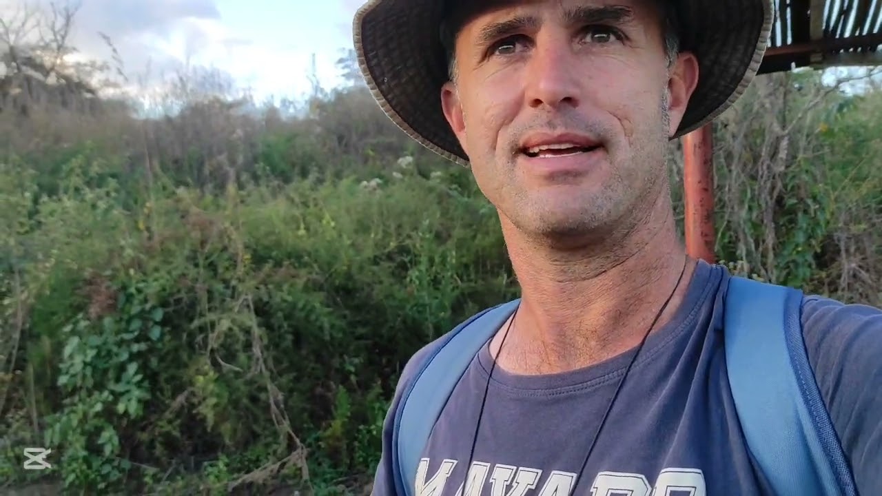 A tour of the Greystone Nature Preserve, early June 2025.