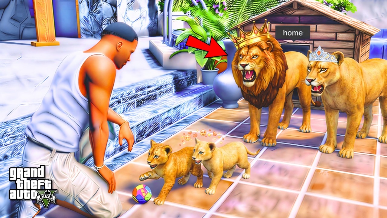 Franklin Baby ANGRY LIONS Fight Wild Dogs in Los Santos | Gta 5🐯