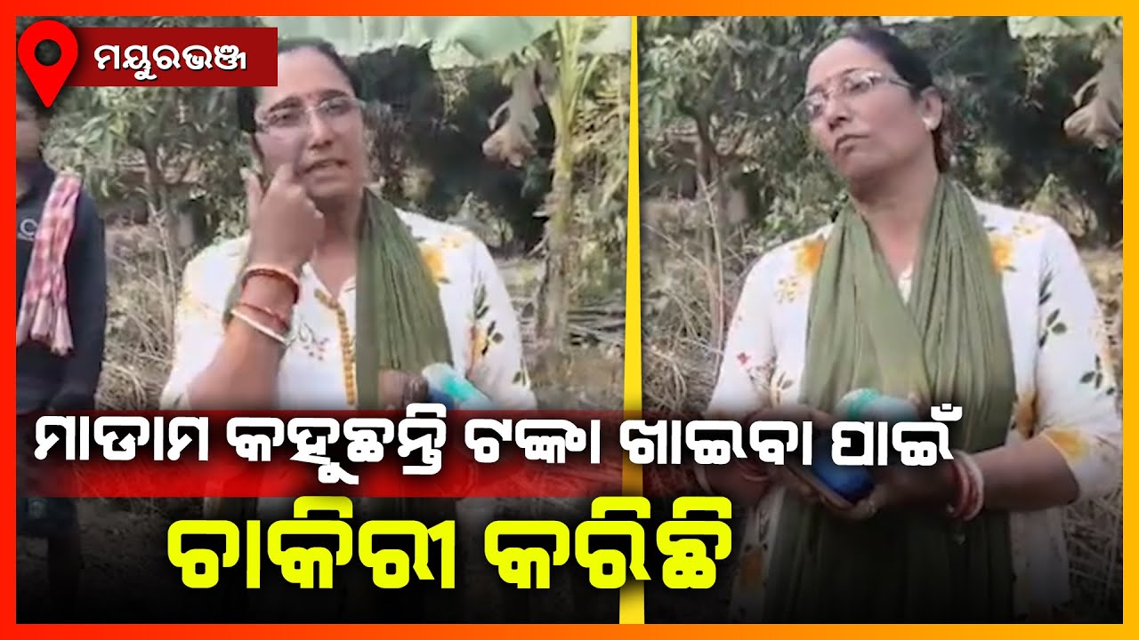 ଗାଡି ଛାଡିବା ପାଇଁ ଖୁଲୁମଖୁଲା ଟଙ୍କା ମାଗୁଛନ୍ତି ମାଡାମ || MAYURBHANJ NEWS