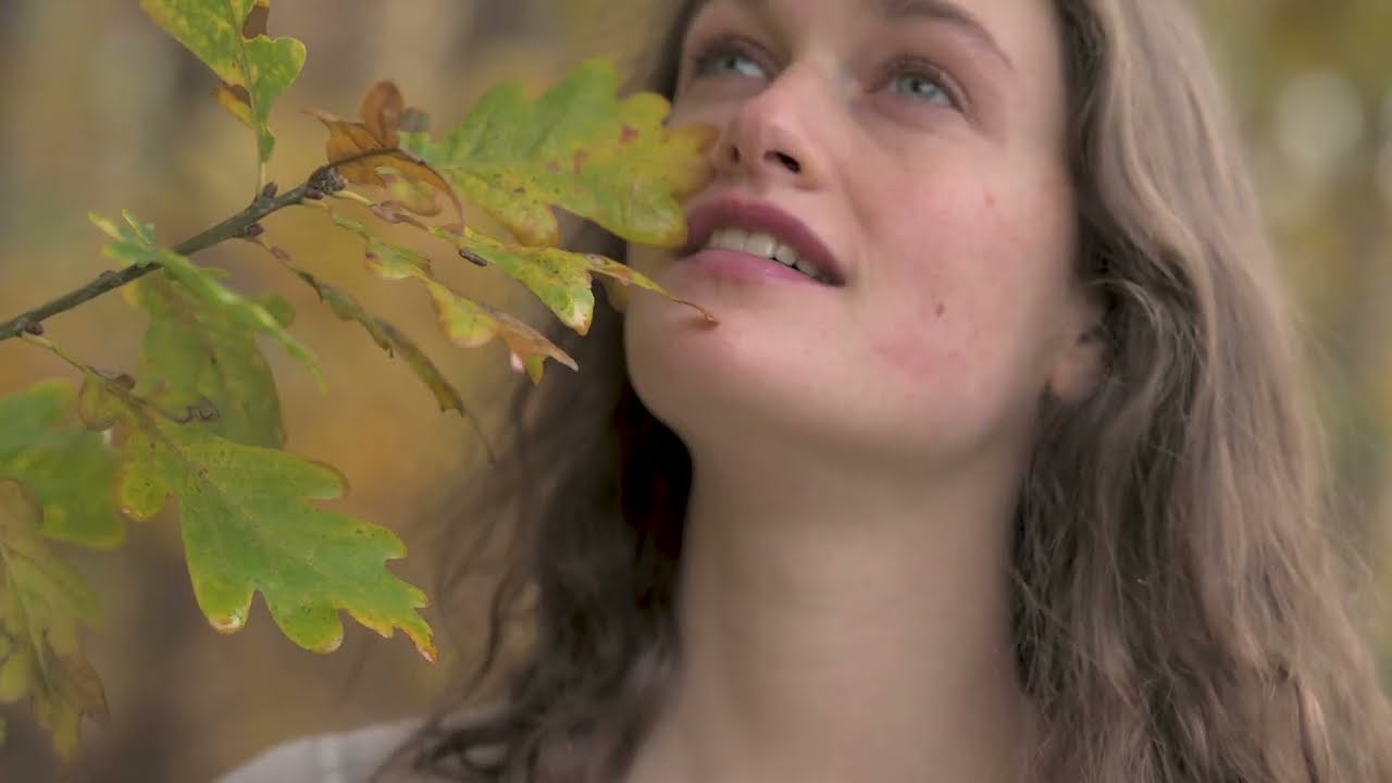 ATMOSFEER - Follow the Bird (Videoclip)