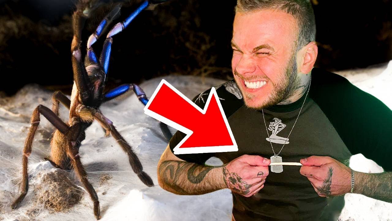 ‼️WIELKI TEST PAJĘCZYN‼️MOCNIEJSZA NIŻ STAL❗️