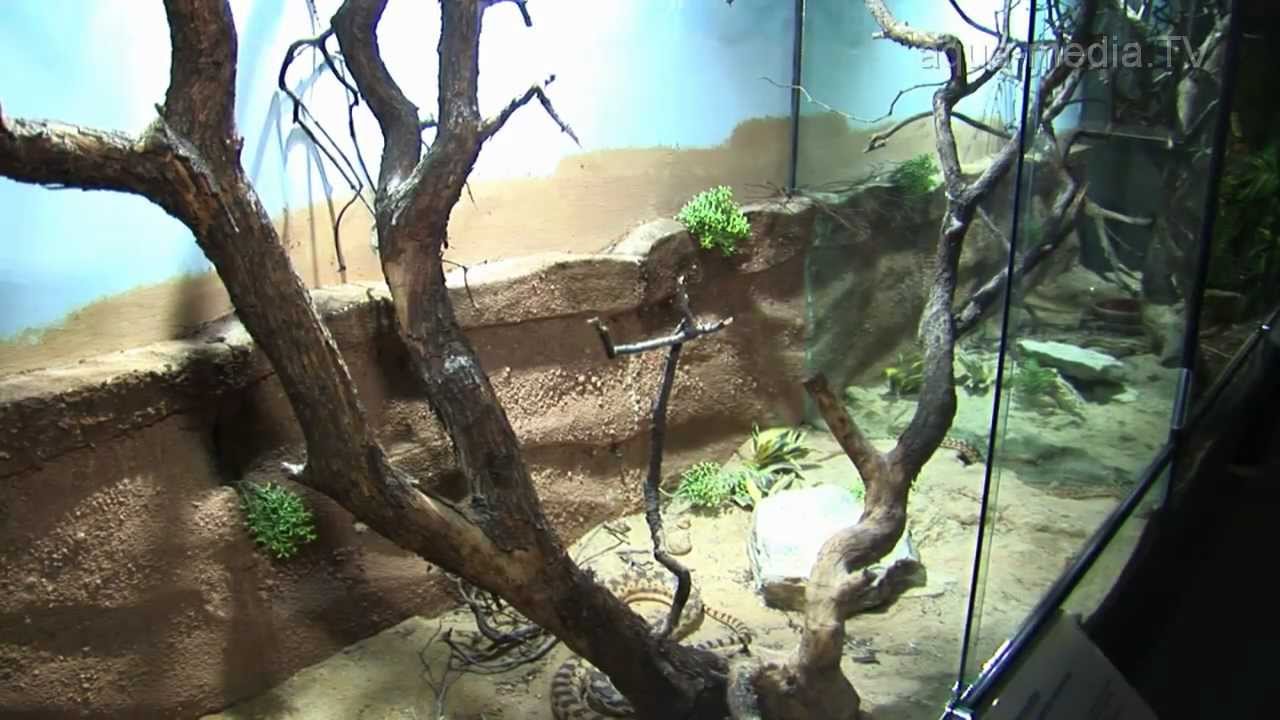 TERRARISTIK im 