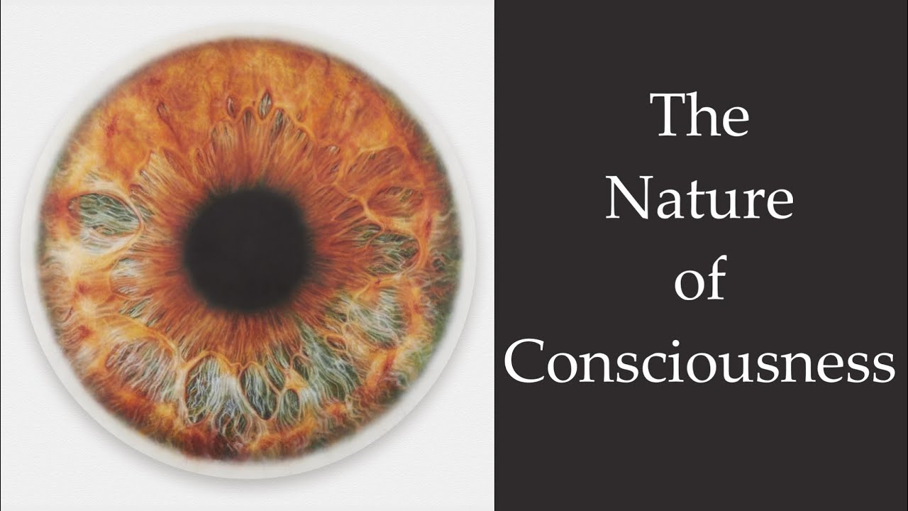 Nisargadatta ~ The Nature of Consciousness