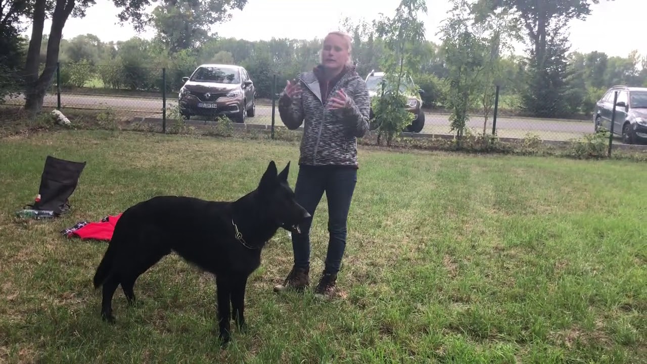 Theorie Ansprechbarkeit/Abruf