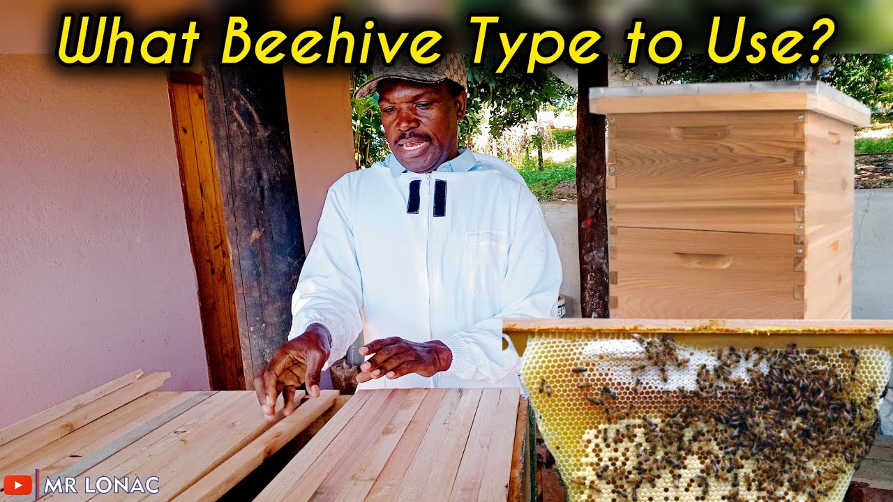 He is Offering FREE Bee Keeping Training in Zimbabwe. Part 1-Types of Beehives Pros & Cons, Cost etc