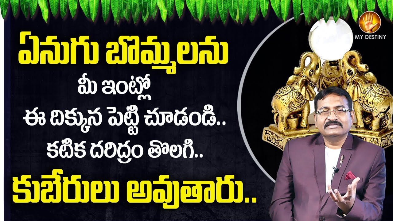 BVSSR : Elephant Placement in Vastu | మీ ఇంట్లో ఏనుగు బొమ్మను ఈ దిక్కున పెట్టారంటే కుబేరయోగమే ?