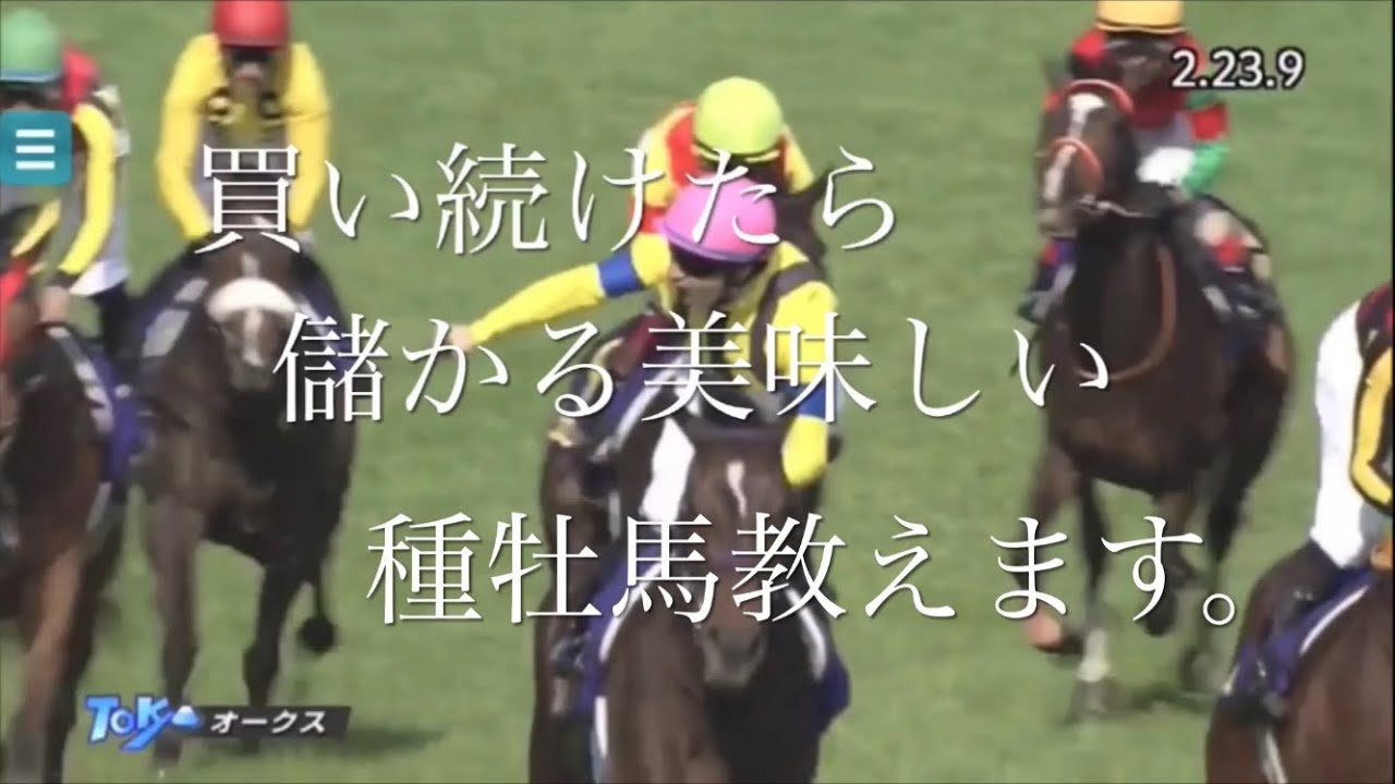 【競馬】買い続けるだけでプラス収支になる種牡馬だけ買う【血統】