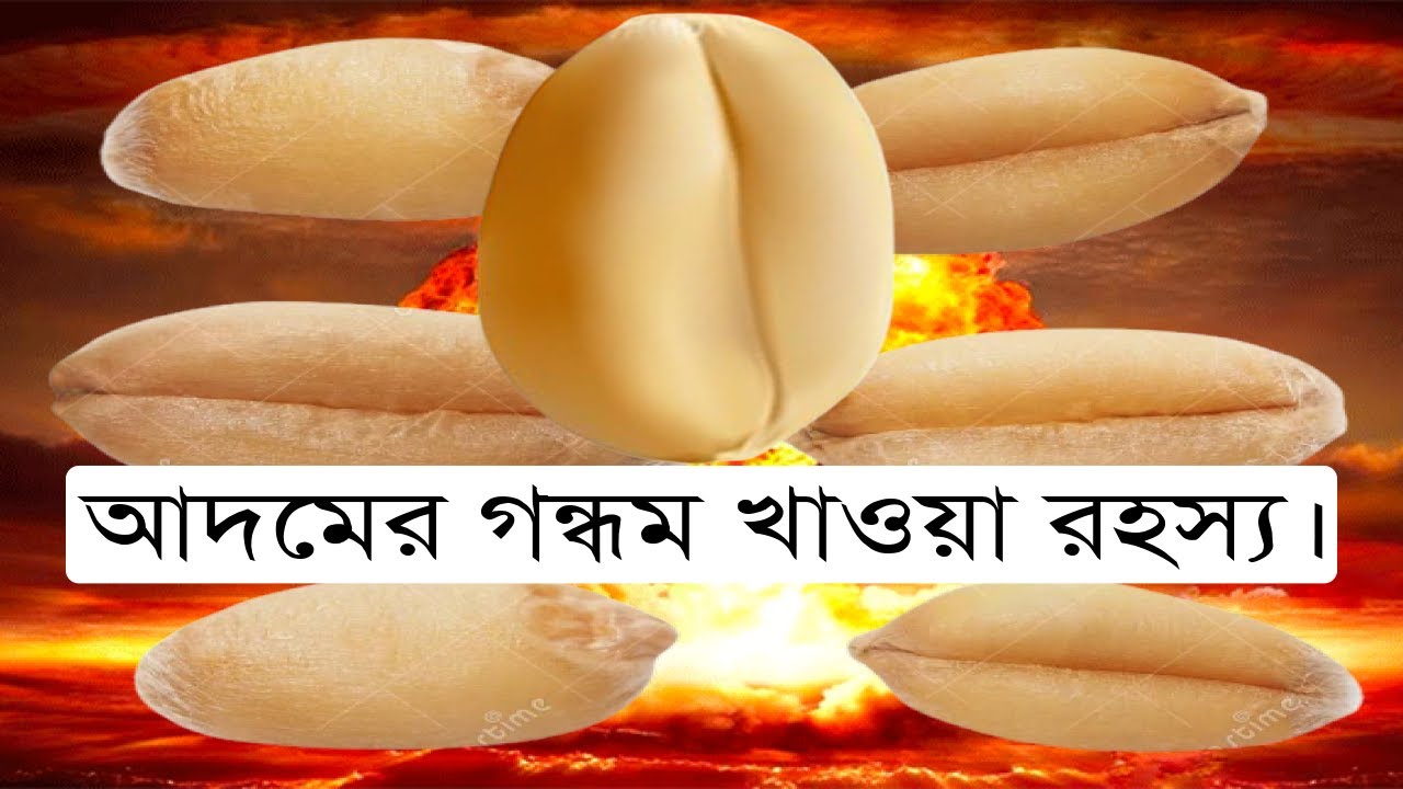 আদমের গন্ধম খাওয়া রহস্য। Bolon Kaiji