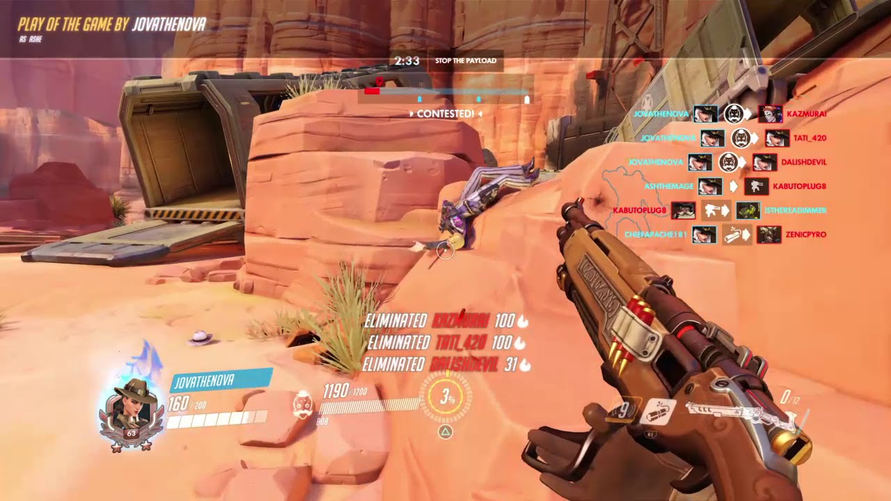 New overwatch waifu