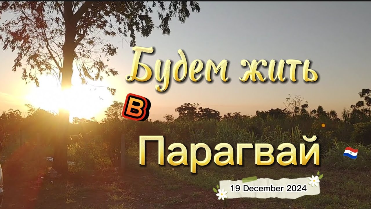 Будем жить в #парагвай   #paraguay December 2024.