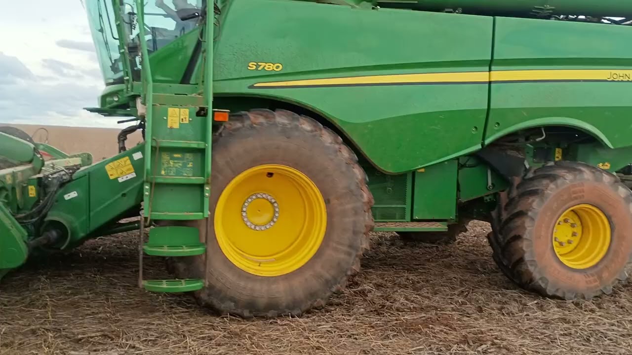 Ainda deu bom . agro MT.