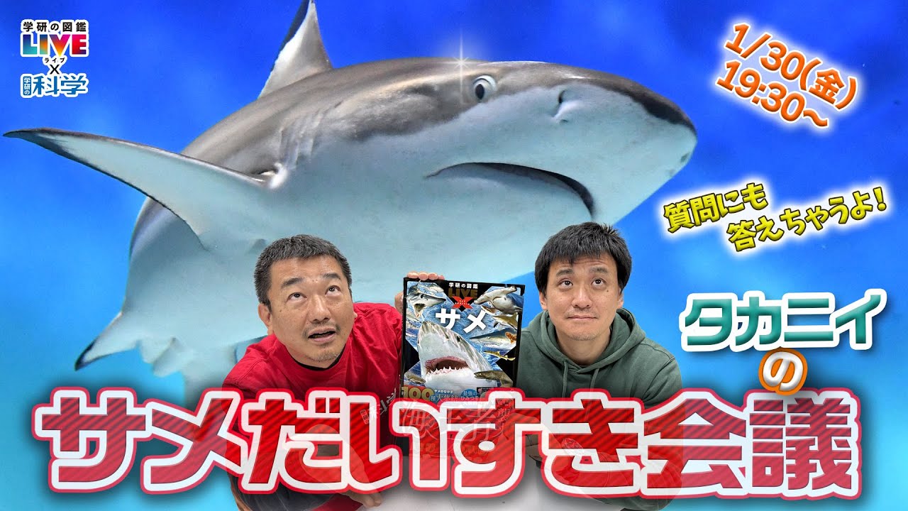【ライブ配信】タカニイのサメだいすき会議　学研の図鑑LIVEエクストリーム「サメ」🦈かかってこい、こっちも本気だ‼️