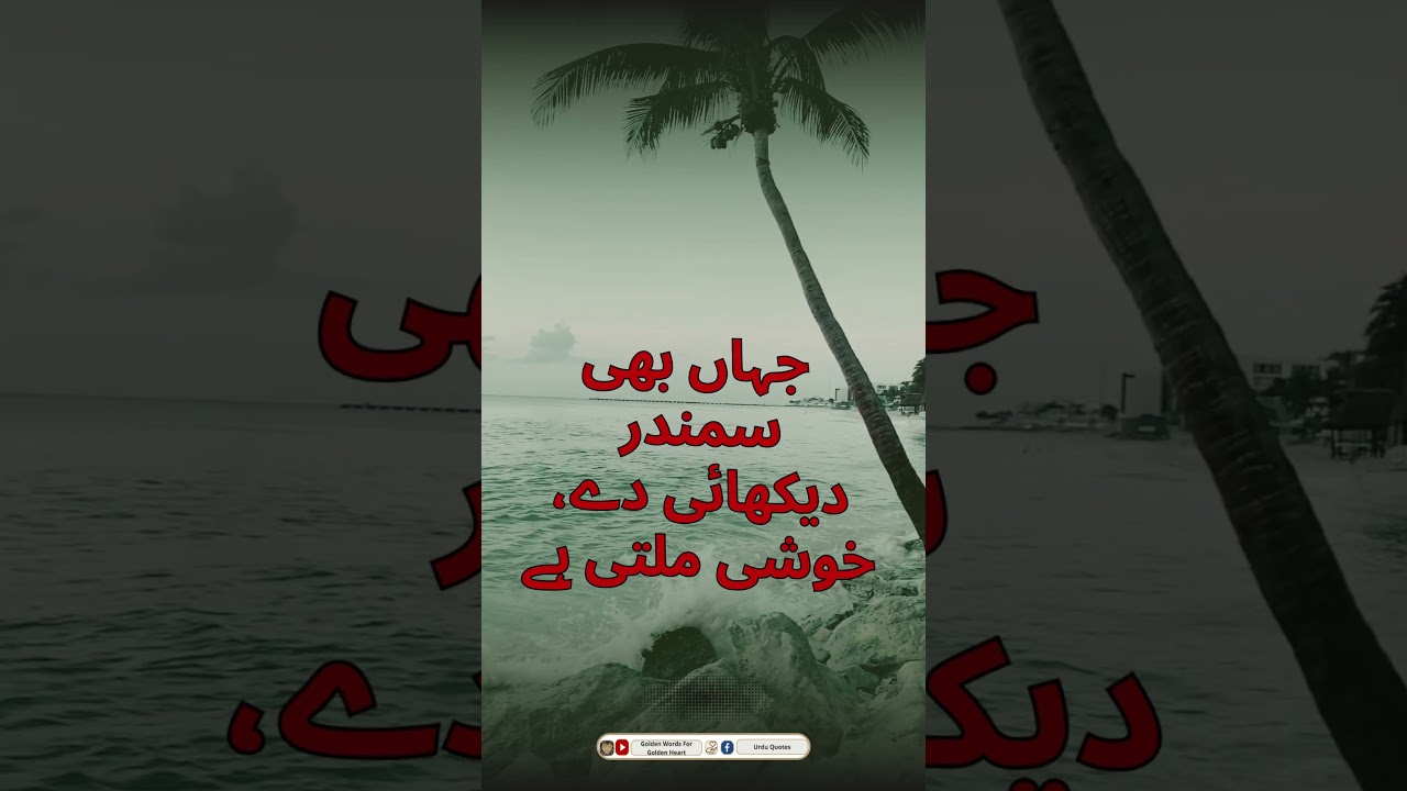 Sunehre Alfaz - سنہرے الفاظ || Urdu Quote || Urdu Golden Words || #shorts  #sunehrealfaz