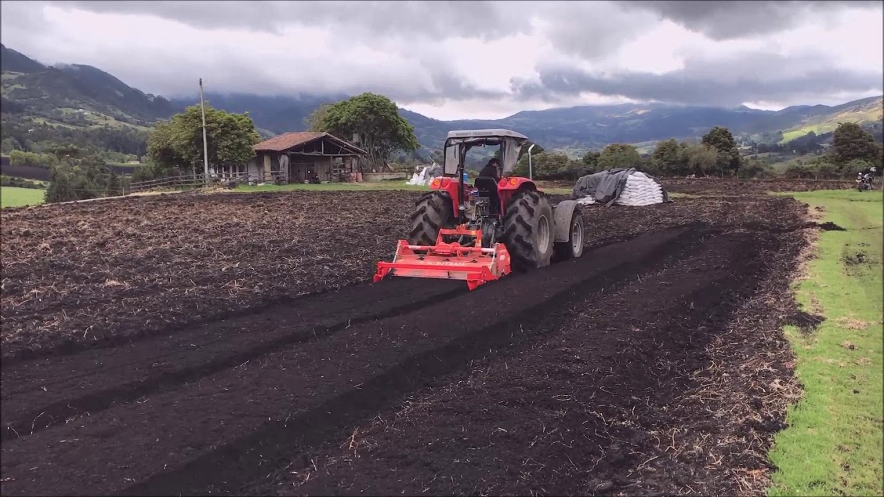 Encamadora Maschio