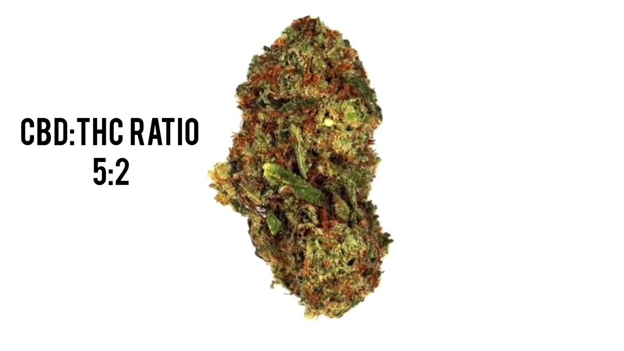 6 Best Cbd Strains 2025