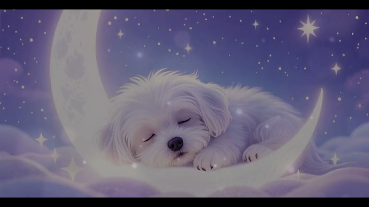 Womb Sounds for Newborns | Sleep & Relaxation 