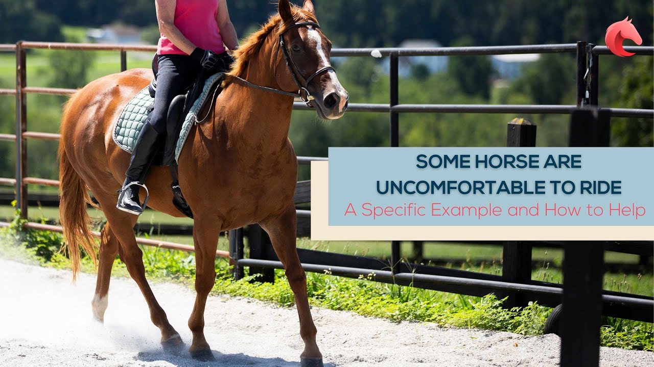 Some Horse are Uncomfortable to Ride - A Specific Example and How to Help