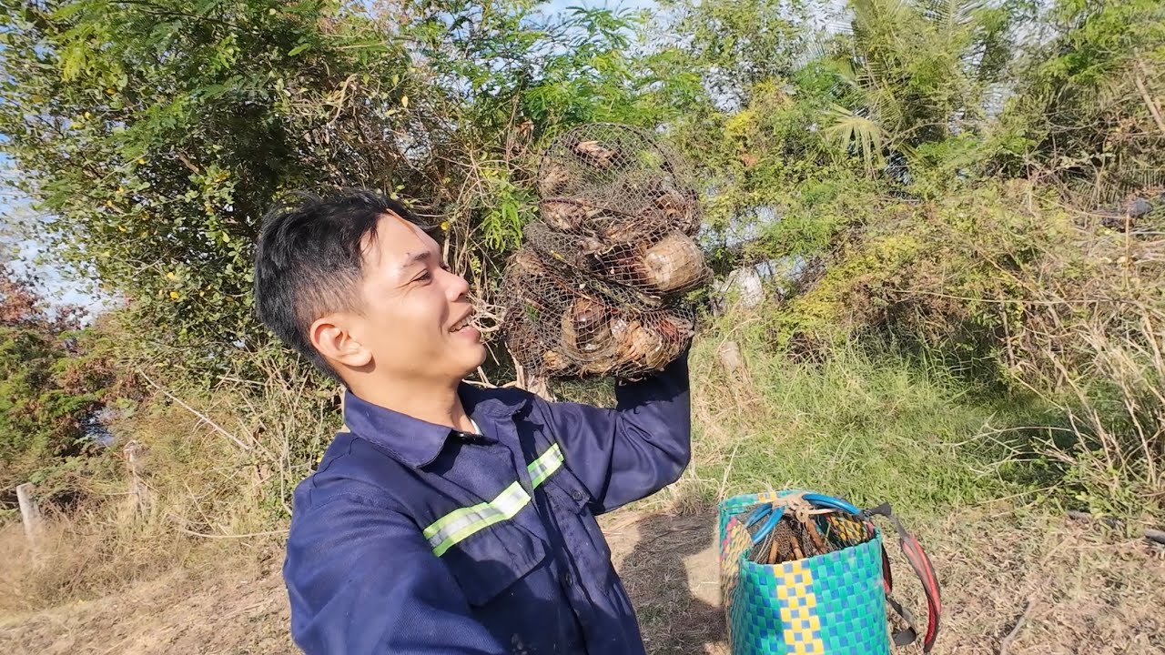 Kiếm bánh chưng nhân thịt bằng nghề bẫy cua đồng #bẫycuađồng 