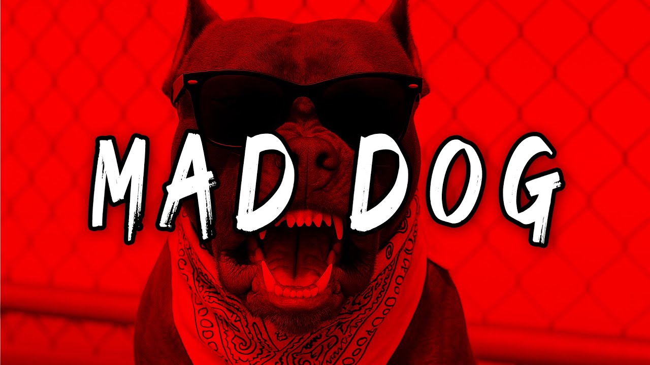 Aggressive Fast Gangsta Freestyle Rap Beat Instrumental ''MAD DOG'' Hard Bouncy Hype Trap Type Beat