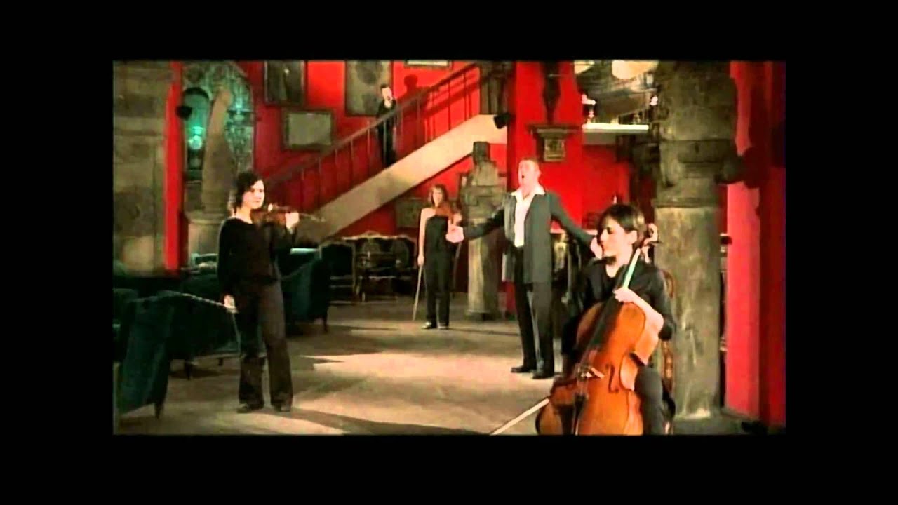 FRANCISCO- Violetas Imperiales