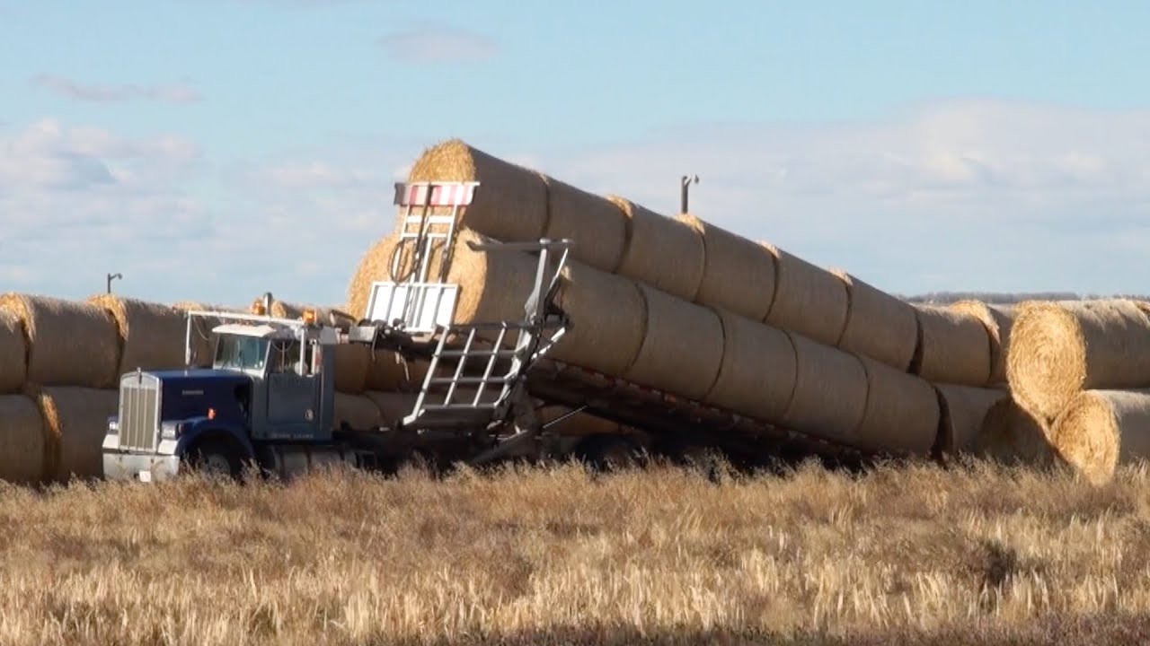 Big Round Straw Baling 2013