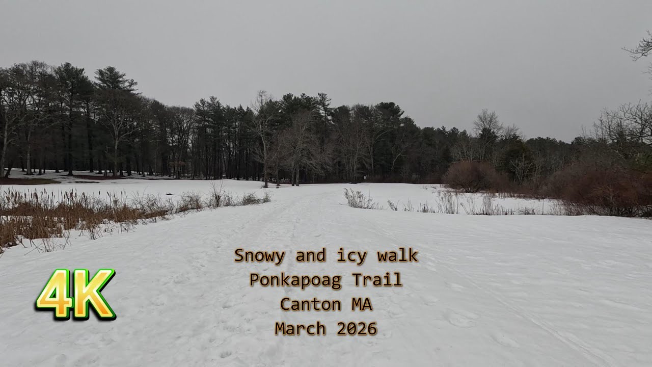 Snowy and icy walk - Ponkapoag Trail - Canton MA - March 2026 (4K)