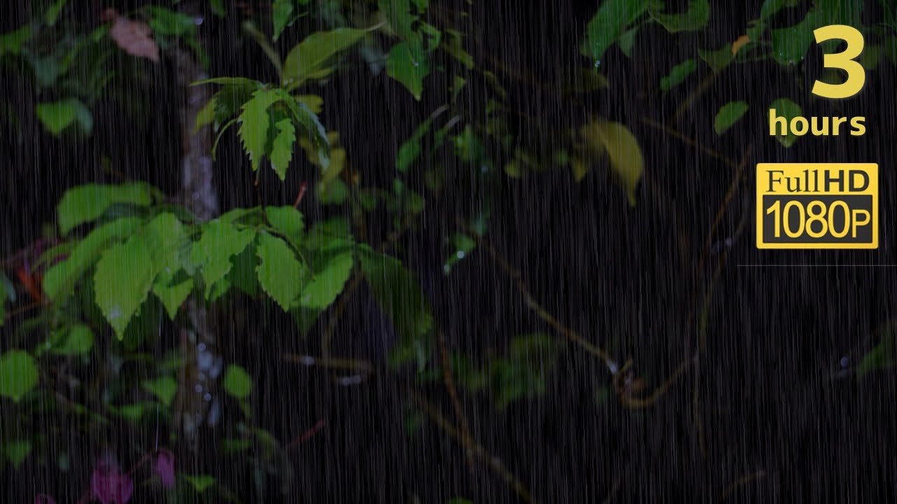 夜の雨の音でリラックスする３時間