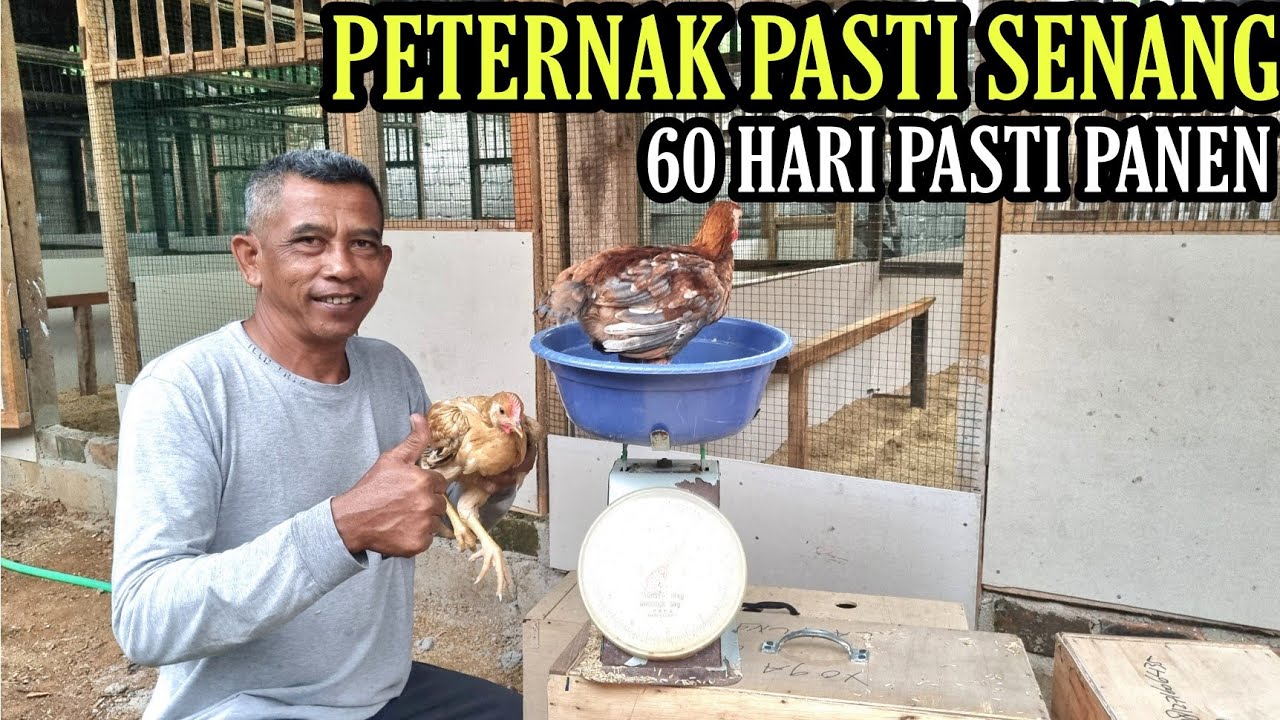 UNTUNG BESAR!! 36 HARI TEMBUS 1 KG 💯
