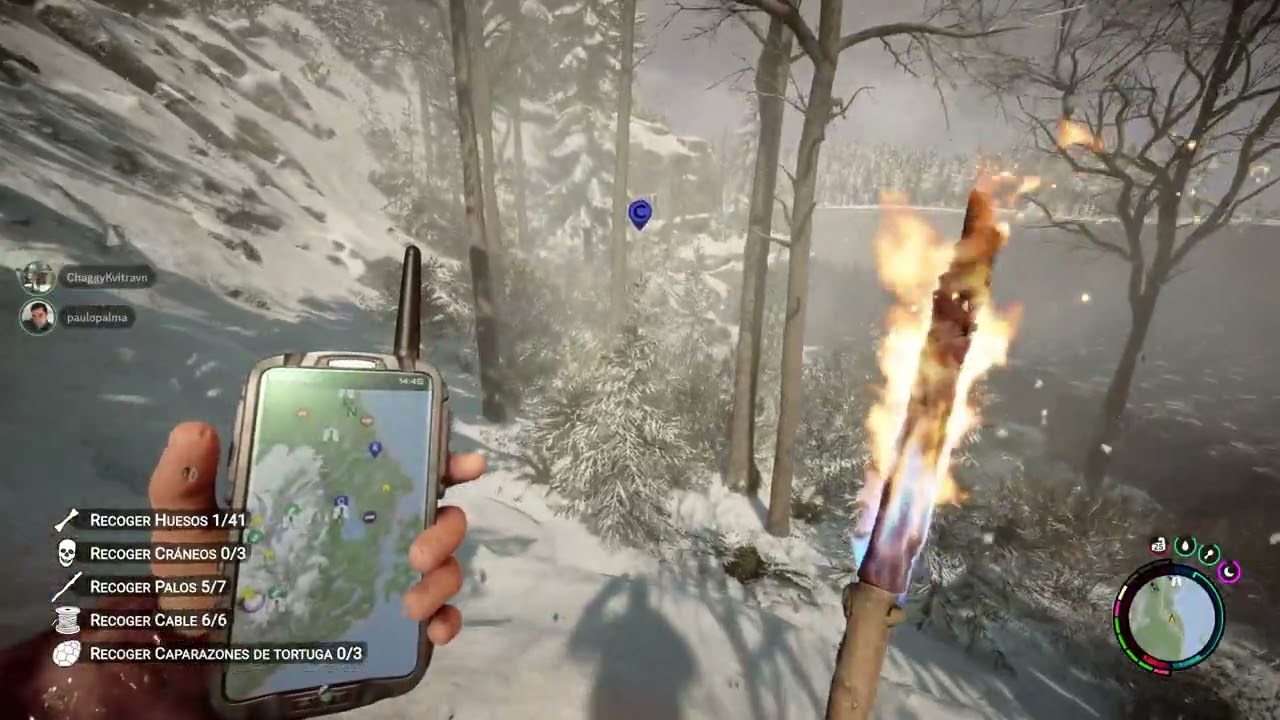 Song of the forest 12-01-2026