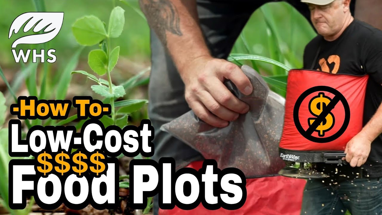 How To Plant Cheap Food Plots