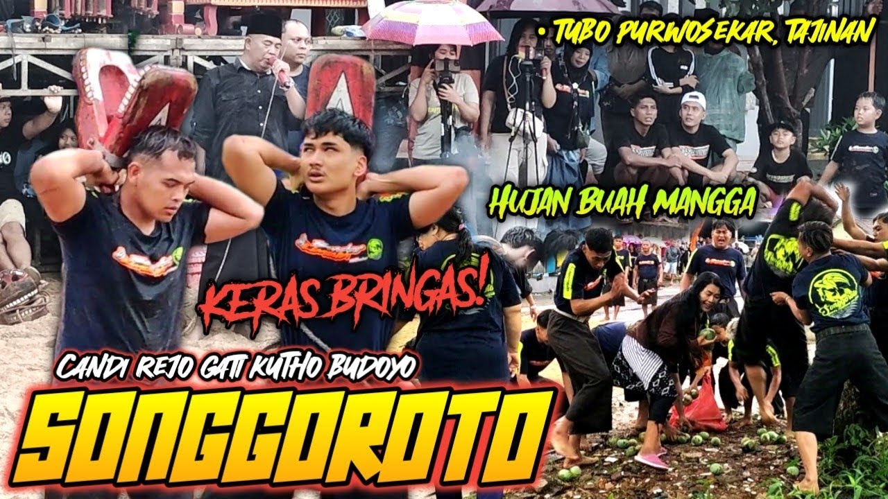 HEBOH! Gara-gara Hujan Buah Mangga Punggawa SONGGOROTO Murka Demit Ngamuk Kalap Jadi Bringas